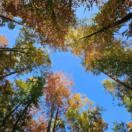 Tolles In Der Seenplatte アパート *